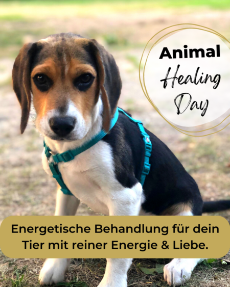 Energetische Behandlung